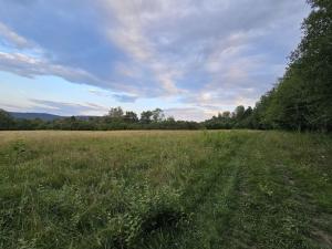 Prodej zemědělské půdy, Hostomice, 8385 m2