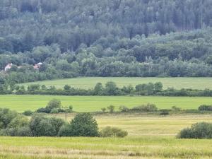 Prodej zemědělské půdy, Hostomice, 8385 m2