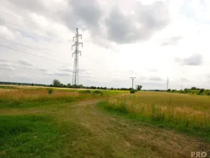 Prodej chaty, Břeclav - Charvátská Nová Ves, 15 m2