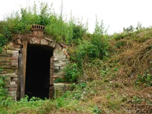 Prodej chaty, Břeclav - Charvátská Nová Ves, 15 m2