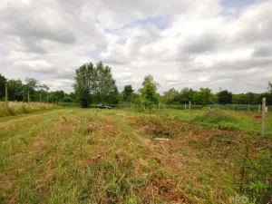 Prodej chaty, Břeclav - Charvátská Nová Ves, 15 m2