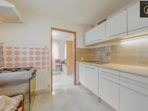 Prodej rodinného domu, Chožov - Mnichovský Týnec, 640 m2