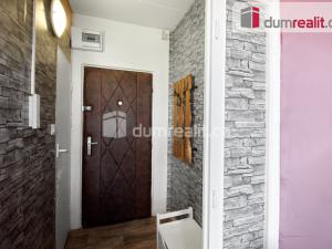 Prodej bytu 1+kk, Ostrov, Kollárova, 20 m2