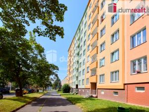 Prodej bytu 1+kk, Ostrov, Kollárova, 20 m2