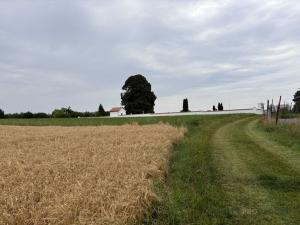 Prodej pozemku pro bydlení, Ivanovice na Hané - Chvalkovice na Hané, 618 m2