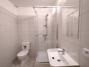 Pronájem bytu 1+kk, Čížová, 20 m2