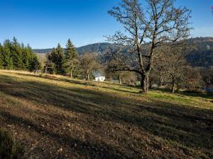 Prodej rodinného domu, Tanvald - Šumburk nad Desnou, Český Šumburk, 120 m2