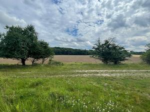 Prodej trvalého travního porostu, Vojkovice, 18352 m2