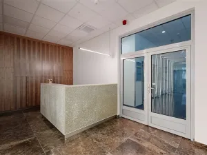 Pronájem komerční nemovitosti, Ústí nad Labem - Ústí nad Labem-centrum, Masarykova, 100 m2