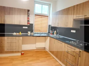 Prodej vily, Kraslice, Rybná, 420 m2