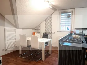 Prodej vily, Kraslice, Rybná, 420 m2