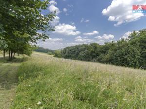 Prodej trvalého travního porostu, Nový Jičín, 7411 m2