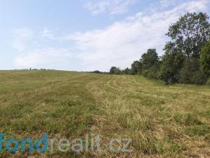 Prodej pozemku, Třešovice, 1571 m2