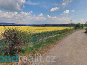 Prodej zemědělské půdy, Cebiv, 6401 m2