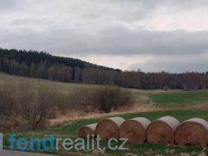 Prodej zemědělské půdy, Horní Planá, 45926 m2