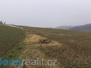 Prodej zemědělské půdy, Zvěstov, 51077 m2