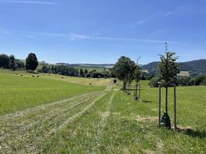 Prodej pozemku pro bydlení, Teplice nad Metují, 1000 m2