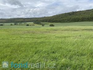 Prodej zemědělské půdy, Všeradice, 7934 m2