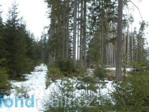 Prodej pozemku, Uhlířské Janovice - Bláto, 19660 m2