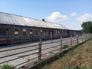 Prodej zemědělského objektu, Rohle, 11000 m2