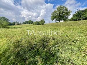 Prodej trvalého travního porostu, Kujavy, 6218 m2