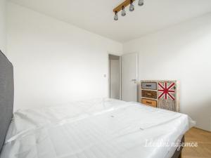 Pronájem bytu 3+kk, Praha - Karlín, Nekvasilova, 55 m2