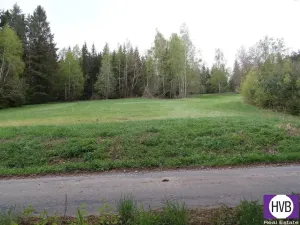 Prodej podílu 1/3 pole, Přední Výtoň, Přední Výtoň, 4039 m2