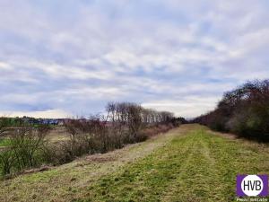 Prodej zemědělské půdy, Vodochody, Hoštice, 7272 m2