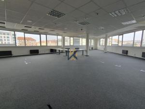 Pronájem kanceláře, Praha - Holešovice, Jankovcova, 829 m2