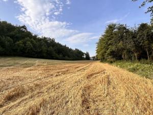 Prodej pozemku pro bydlení, Kralupy nad Vltavou - Minice, 14370 m2