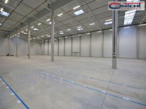 Pronájem výrobních prostor, Jindřichův Hradec, Jiráskovo předměstí, 8000 m2