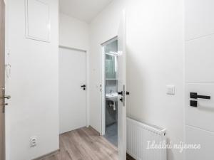 Pronájem bytu 2+kk, Praha - Braník, Nad přívozem, 60 m2