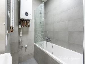 Pronájem bytu 2+kk, Praha - Braník, Nad přívozem, 60 m2