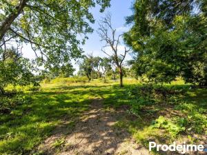 Prodej rodinného domu, Úsuší, 252 m2