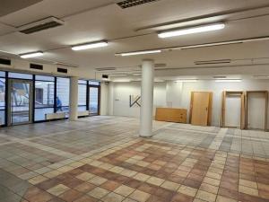Pronájem obchodního prostoru, Praha - Vinohrady, Chrudimská, 376 m2