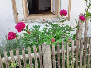 Prodej rodinného domu, Markvartice, 70 m2