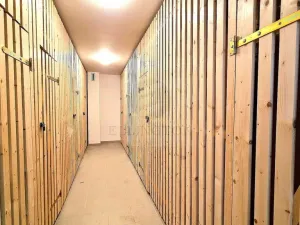 Pronájem bytu 1+kk, Klecany, V Honech, 35 m2