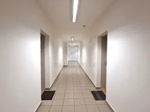 Pronájem bytu 1+kk, Klecany, V Honech, 35 m2