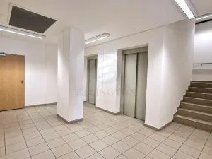 Pronájem bytu 1+kk, Klecany, V Honech, 35 m2