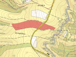 Prodej trvalého travního porostu, Strážná, 58197 m2