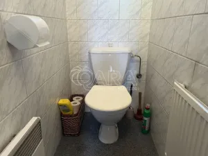 Prodej chalupy, Vysoká - Pitárné, 156 m2