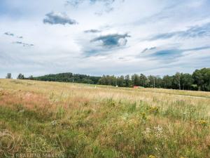 Prodej pozemku pro bydlení, Bohdalovice, 1012 m2