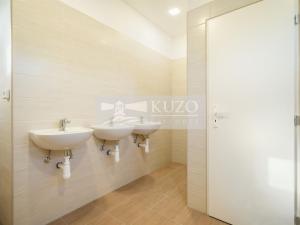 Pronájem ubytování, Plzeň, K Papírně, 574 m2