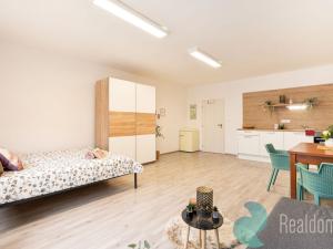 Prodej apartmánu, České Budějovice, Skuherského, 44 m2