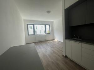 Pronájem bytu 1+kk, Plzeň - Východní Předměstí, Papírnická, 28 m2