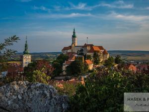 Prodej činžovního domu, Mikulov, Komenského, 1602 m2