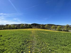 Prodej zemědělské půdy, Kájov - Staré Dobrkovice, 15428 m2