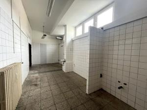 Pronájem obchodního prostoru, Horní Planá, Náměstí, 750 m2