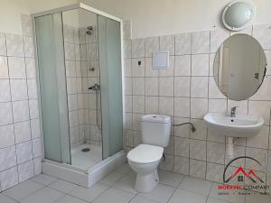 Pronájem bytu 1+kk, Třemešná, 40 m2