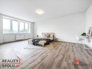 Prodej bytu 1+kk, Ústí nad Labem - Střekov, Purkyňova, 33 m2